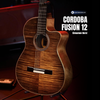  Đàn Guitar Classic Cordoba Fusion 12 Cinnamon Burst 