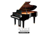  Grand Piano Yamaha C5X 