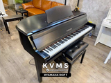  Piano Hybrid YAMAHA DGP-1 