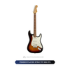  Đàn guitar điện Fender Player Strat PF SSS 3TS 