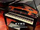  Piano Hybrid Yamaha AvantGrand N3X 