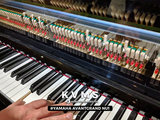 Piano Hybrid Yamaha AvantGrand NU1 PE 