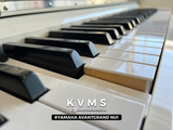  Piano Hybrid Yamaha AvantGrand NU1 PBW màu trắng 