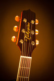  Guitar Takamine P5DC| đàn Guitar Acoustic New 