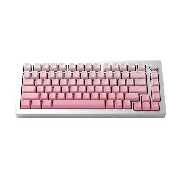 Bàn phím Monsgeek M1W