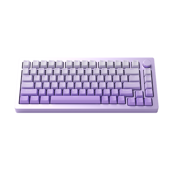 Bàn phím Monsgeek M1W