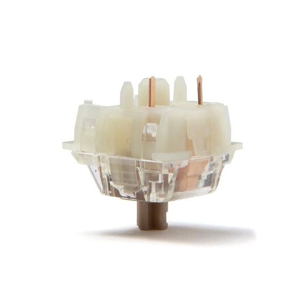 Switch Gateron Baby Raccoon