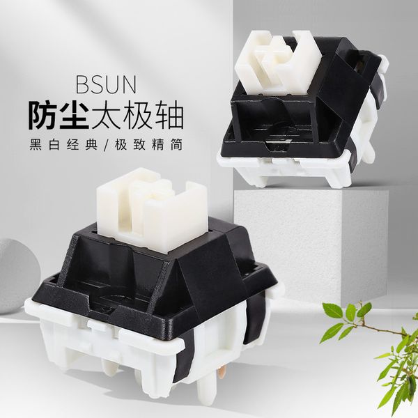 Switch Bsun Taichi