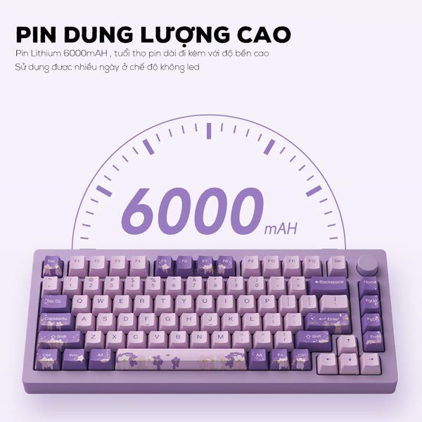 Bàn phím Monsgeek M1W | E-coating