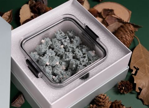 Switch London Fog OwLab