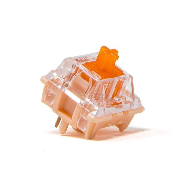 Switch Tecsee Coral