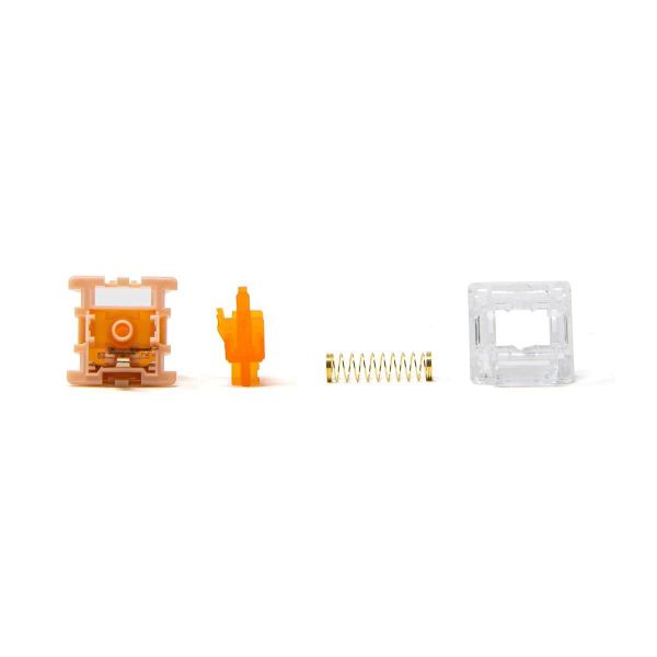Switch Tecsee Coral
