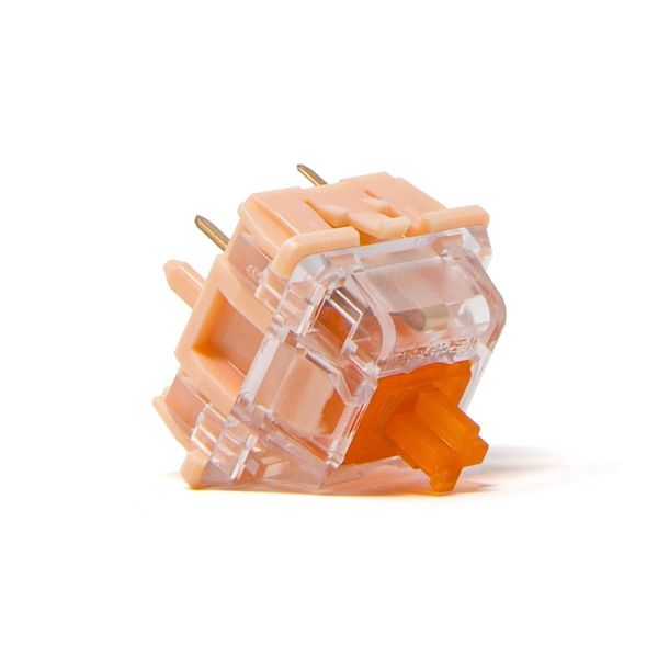 Switch Tecsee Coral