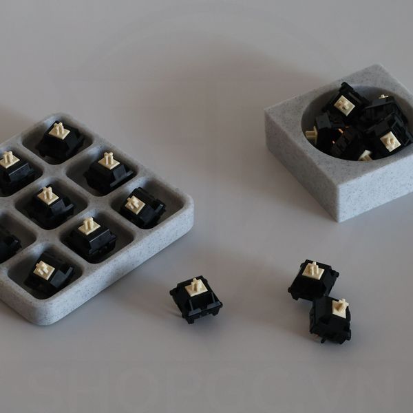 Switch Sarokeys BCP