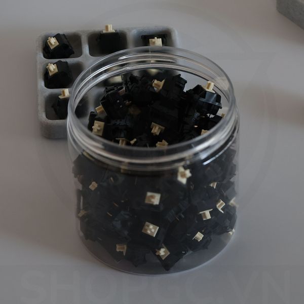 Switch Sarokeys BCP