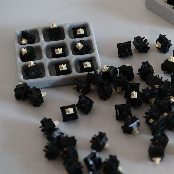 Switch Sarokeys BCP