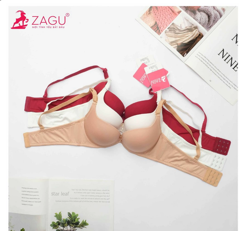  Áo Nâng Ngực Trơn Mút Dày 8819 