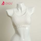  Áo lá học sinh Zagu 1820 