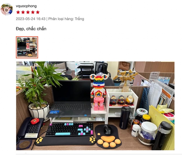 Kệ Máy Tính Bảo Vệ Cột Sống, Có Ngăn Lưu Trữ Tiện Dụng - Nội Thất IGA - GP184