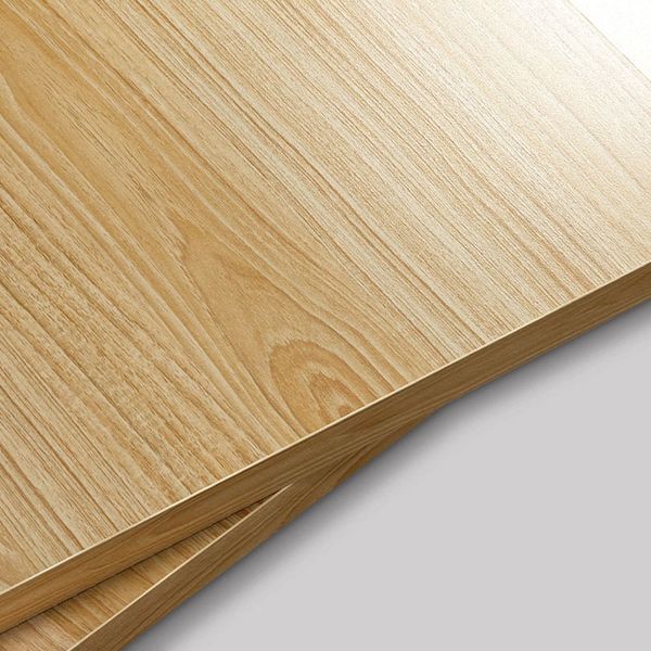 Kệ Sách Để Bàn SAI SHAN, Lưu Trữ Đa Năng - Nội Thất IGA - GP157