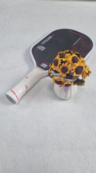 Vợt pickleball Arronax AX21 CFS - Nội thất IGA - PK04