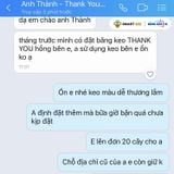  Băng Keo In 1 Màu Theo Yêu Cầu [12MMx72M] Nền Trắng Sữa & Màu In Tím Hồng Dán Ly, Dán Hộp 12NTCM 
