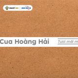  Băng Keo In 1 Màu Theo Yêu Cầu [12MMx72M] Nền Trắng Sữa & Màu In Xám Khói Dán Ly, Dán Hộp 12NTCM 