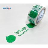  Băng Keo In Theo Yêu Cầu Cho Vựa Trái Cây 