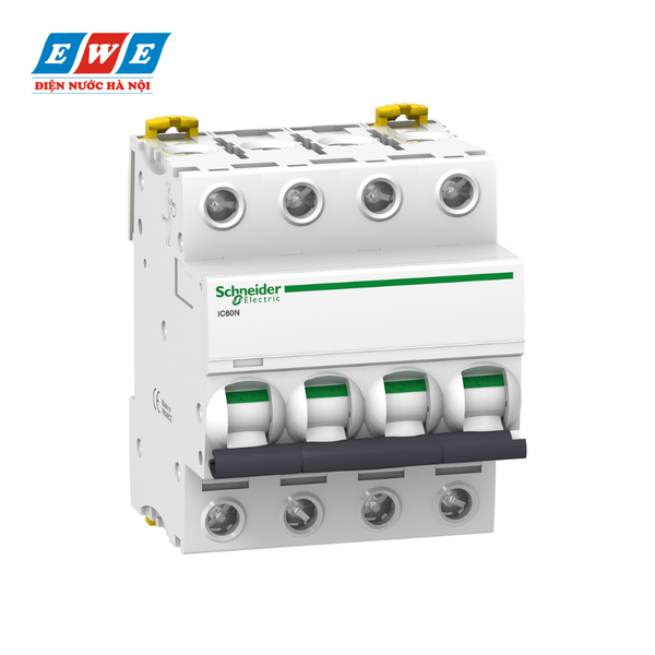 MCB 4P 63A 6kA A9F74463 Schneider