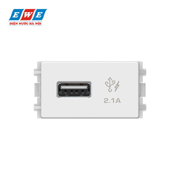 Ổ sạc đơn USB 8431USB_WE Schneider, size S