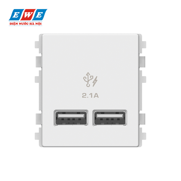 Ổ sạc đôi USB 8432USB_WE Schneider, size 2S