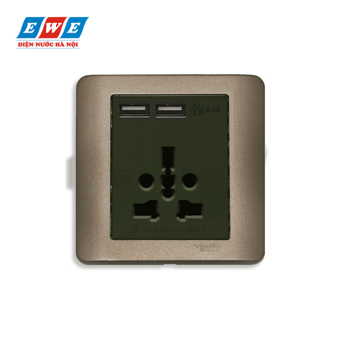 Bộ ổ cắm đa năng và sạc USB đôi màu đồng Zencelo E8442616USB_SZ_G19