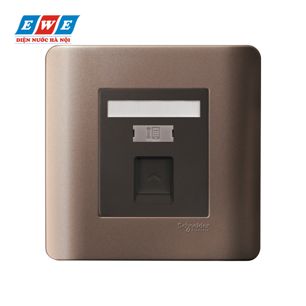 Bộ ổ cắm điện thoại Schneider E8431RJS4_SZ_G19