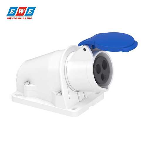 Ổ cắm dạng âm dạng nghiêng 125A 81295