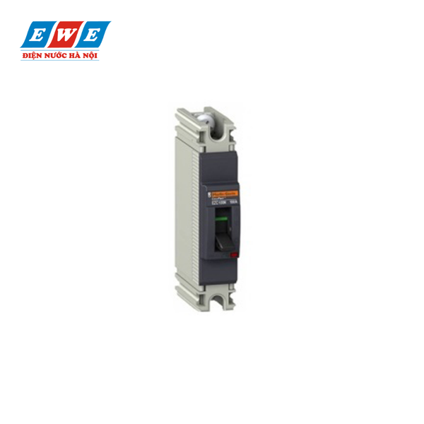 MCCB 1P 80A 18kA EZC100N1080 Schneider