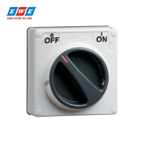 Công tắc Switch IP66 1P 32A S56SW132GY