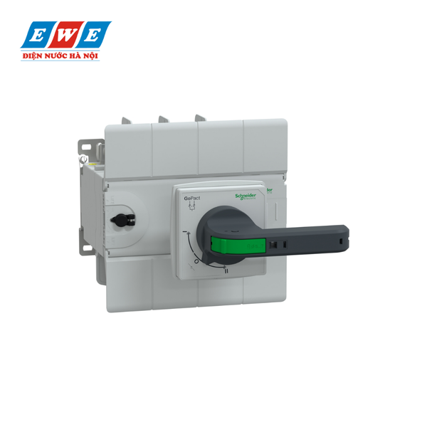 Tay nắm xoay kéo dài 160A 8kA Schneider GM20D4N1604BEE