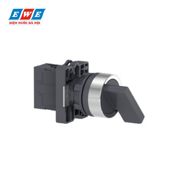 Công tắc xoay 2 vị trí Schneider XA2ED41