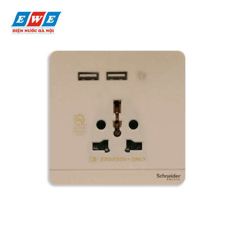 Bộ ổ cắm đa năng và sạc USB đôi AvatarOn màu vàng ánh kim E8342616USB_WG_G19