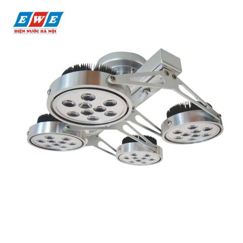 Đèn Led chiếu điểm Duhal 4x12W SAIC806