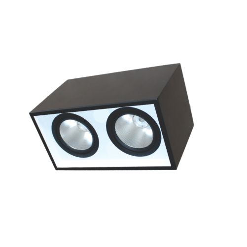 Đèn Led Downlight gắn nổi chiếu sâu Duhal  2x10W DFB2101