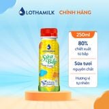  Sữa bắp thanh trùng Lothamilk chai 250ml 