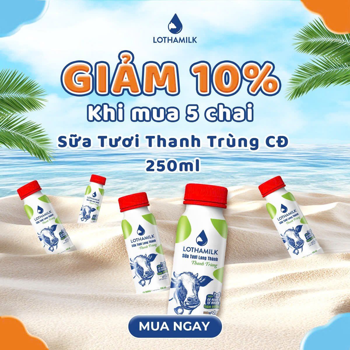  Combo 5 Sữa Tươi Thanh Trùng Lothamilk Có đường chai 250ml 