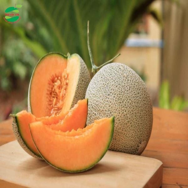 Dưa lưới Việt Nam TL3 (Trái)
