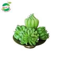 Phật thủ (Trái)