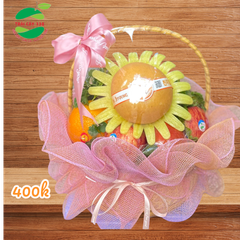 Giỏ quà trái cây dưới 500 - 16