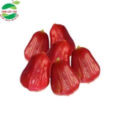 Mận An Phước