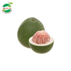 Bưởi da xanh Bến Tre không cành (Trái 1.4kg - 1.8kg)