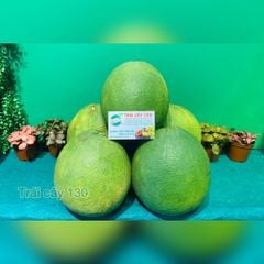 Bưởi da xanh Bến Tre không cành (Trái 1.4kg - 1.8kg)