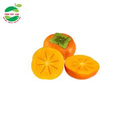 Hồng Fuji Giống Nhật